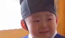 散兵表情包爆料视频下载,揭秘网络红人的魅力瞬间