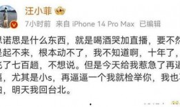 汪小菲微博爆料视频,揭秘背后惊人真相